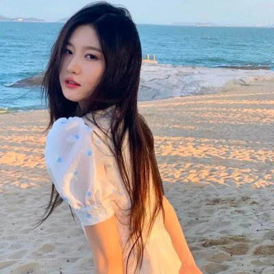 夏日最后的玫瑰